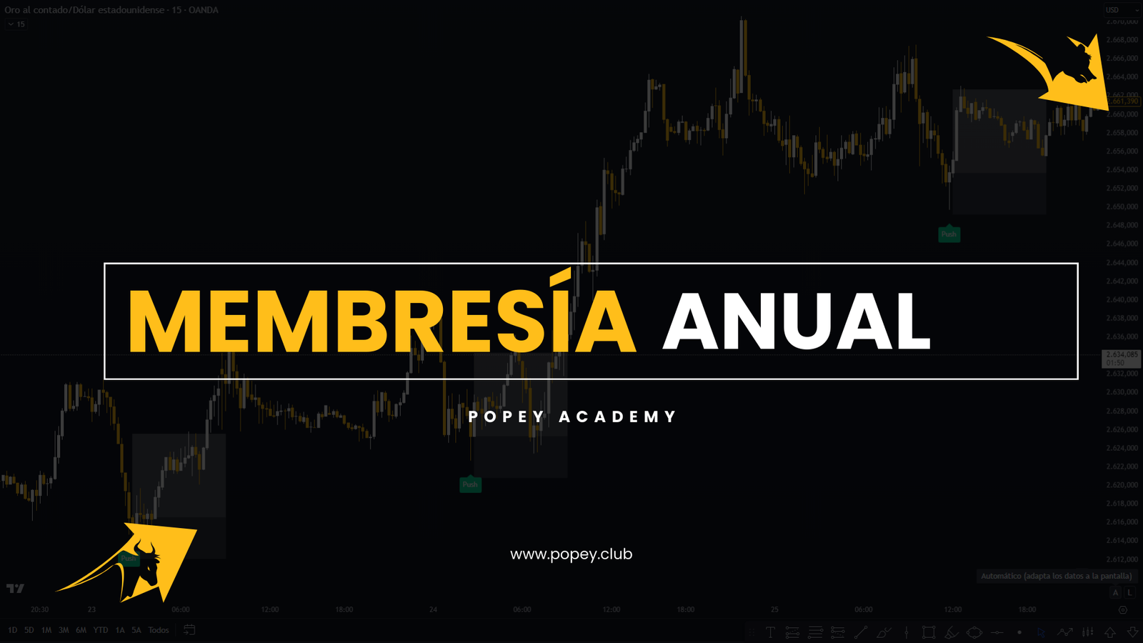 Membresía Anual – PoPey Academy